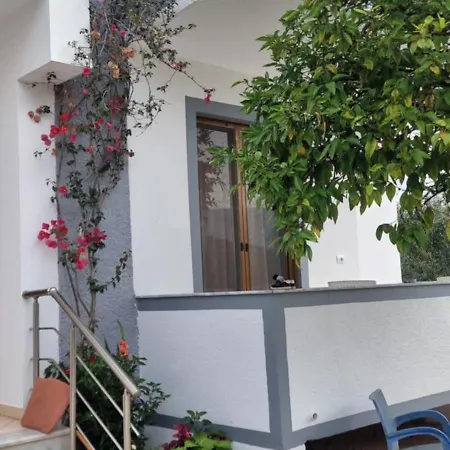 Shapa Guest house *