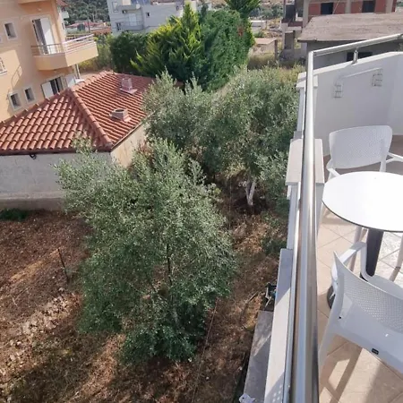 Shapa Guest house